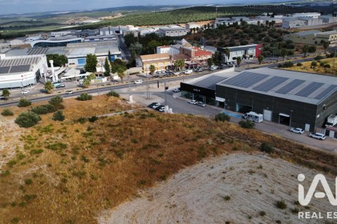 Parcela en venta en Lucena, Córdoba, España 7345 m2 No. 194327 - foto 2