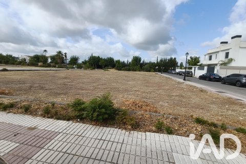 Land zum Verkauf in Cabra, Cordoba, Spanien 1596 m2 Nr. 194326 - Foto 3