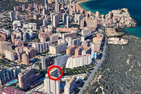 Apartamento en venta Benidorm, Alicante, España 1 dormitorio, 66 m2 No. 137691 - foto 16
