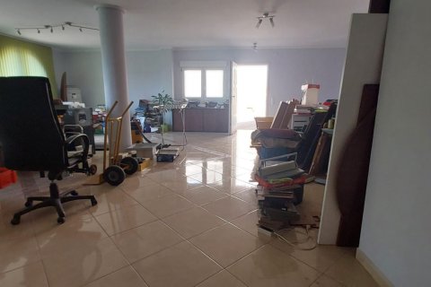 House zum Verkauf in Pilar de la Horadada, Alicante, Spanien 6 Schlafzimmer, 263 m2 Nr. 153457 - Foto 5