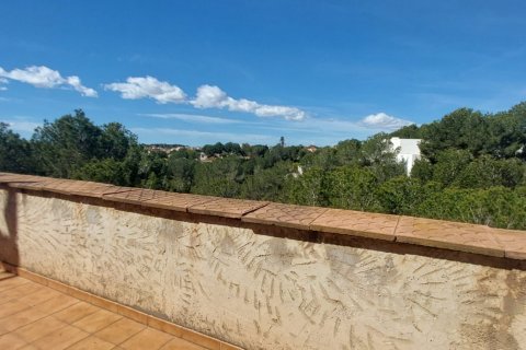 Dom w Pilar de la Horadada, Alicante, Hiszpania 6 sypialni, 263 mkw. nr 153457