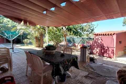 House for sale in El Altet, Alicante, Spain 10 bedrooms, 180 sq.m. No. 153458 - photo 11