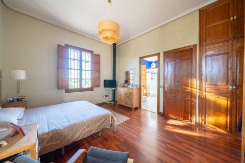 Casa in vendita a Mutxamel, Alicante, Spagna 7 camere da letto, 1350 mq. N° 165490 - foto 23