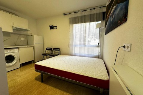 Appartamento in affitto a Alicante, Spagna 12 mq. N° 165489 - foto 3