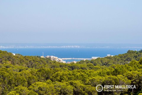 Villa for sale in Genova, Mallorca, Spain 4 bedrooms, 284 sq.m. No. 168909 - photo 16