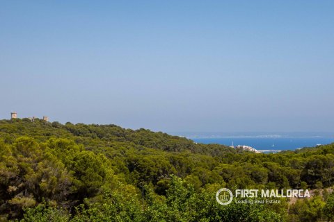 Villa a Genova, Mallorca, Spagna 4 camere da letto, 284 mq. N° 168909