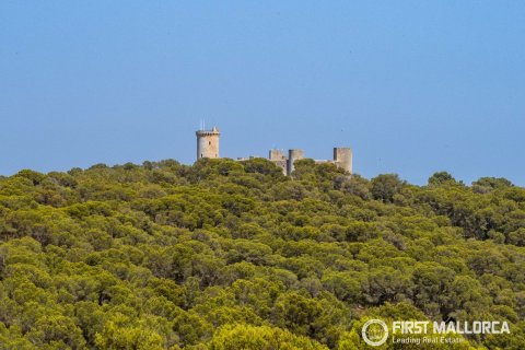 Villa for sale in Genova, Mallorca, Spain 4 bedrooms, 284 sq.m. No. 168909 - photo 17
