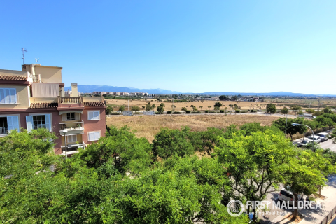 Apartment for rent in Palma de Majorca, Mallorca, Spain 2 bedrooms, 106 sq.m. No. 168908 - photo 17