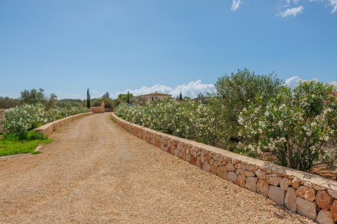 Finca for sale Santanyi, Mallorca, Spain 4 bedrooms, 543 sq.m. No. 111737 - photo 10