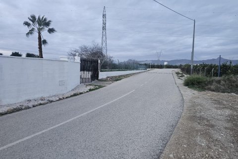 Villa in vendita a Cox, Alicante, Spagna 10 camere da letto, 600 mq. N° 154777 - foto 4