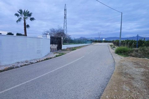 Villa pārdošanā Cox, Alicante, Spānijā 10 istabas, 600 m2 Nr. 154777 - attēls 4