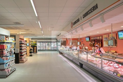 Retail store for sale in Spain 4161 sq.m. No. 151884 - photo 2