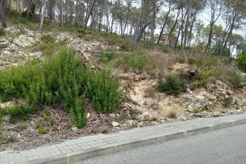Terreno in vendita a Olivella, Barcelona, Spagna N° 191243 - foto 12