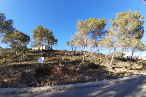 Terreno in vendita a Olivella, Barcelona, Spagna N° 191243 - foto 8