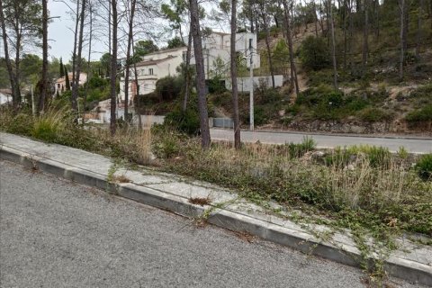 Terreno in vendita a Olivella, Barcelona, Spagna N° 191243 - foto 13