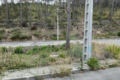 Terreno in vendita a Olivella, Barcelona, Spagna N° 191243 - foto 14