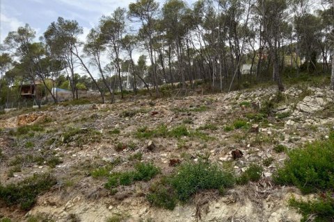 Terreno in vendita a Olivella, Barcelona, Spagna N° 191243 - foto 6