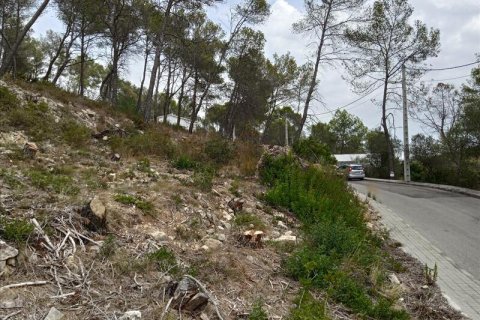 Terreno in vendita a Olivella, Barcelona, Spagna N° 191243 - foto 7