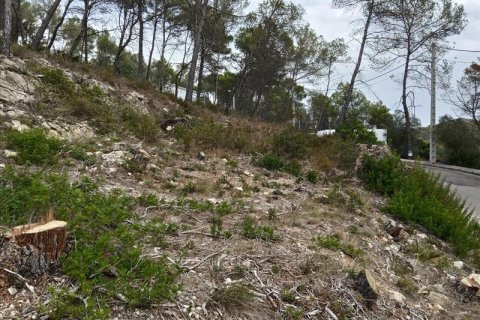 Terreno in vendita a Olivella, Barcelona, Spagna N° 191243 - foto 5