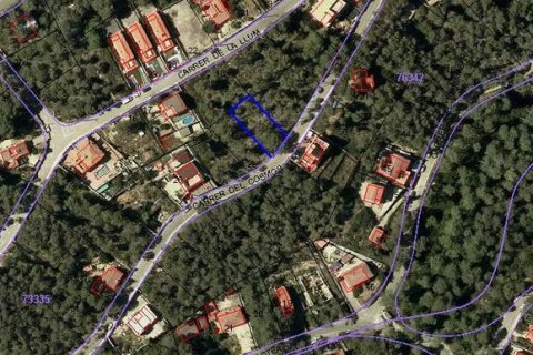Terreno in vendita a Olivella, Barcelona, Spagna N° 191243 - foto 16