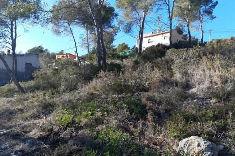 Terreno a Olivella, Barcelona, Spagna N° 191243
