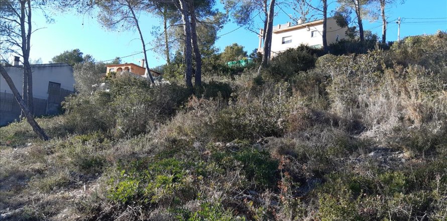 Terreno a Olivella, Barcelona, Spagna N° 191243