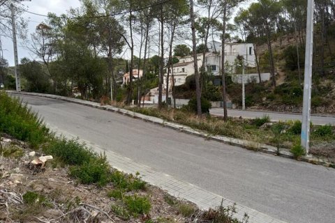Terreno in vendita a Olivella, Barcelona, Spagna N° 191243 - foto 10