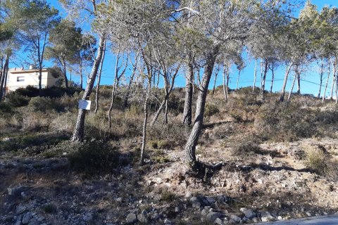 Terreno in vendita a Olivella, Barcelona, Spagna N° 191243 - foto 3