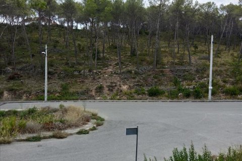 Terreno in vendita a Olivella, Barcelona, Spagna N° 191243 - foto 11