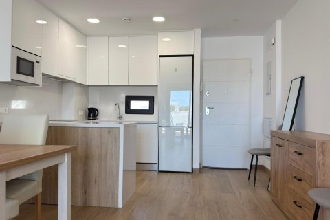 Penthäuser zum Verkauf in Finestrat, Alicante, Spanien 2 Schlafzimmer, 178 m2 Nr. 133105 - Foto 10