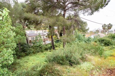 Land plot for sale in Alicante, Spain No. 180003 - photo 4
