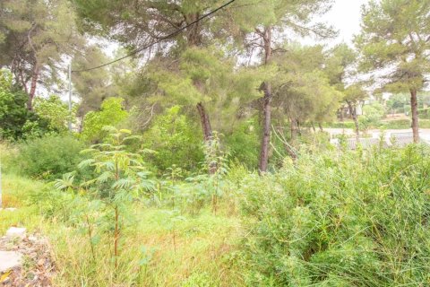 Land plot for sale in Alicante, Spain No. 180003 - photo 3
