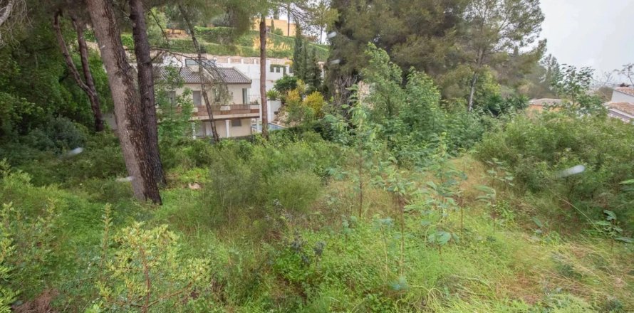 Land plot in Alicante, Spain No. 180003