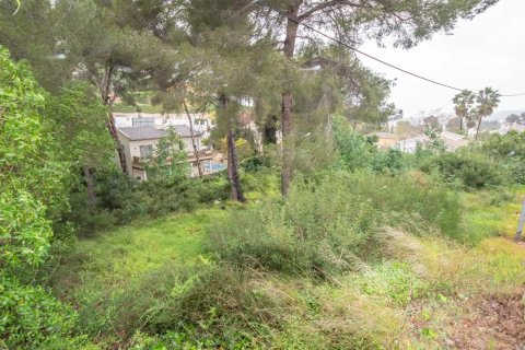 Land plot for sale in Alicante, Spain No. 180003 - photo 2