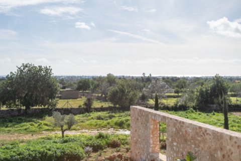 Māja pārdošanā Santanyi, Mallorca, Spānijā 4 istabas, 343 m2 Nr. 172658 - attēls 12