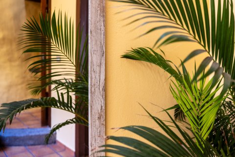 Rindu māja pārdošanā Gran Canaria, Spānijā 5 istabas, 394 m2 Nr. 147704 - attēls 9