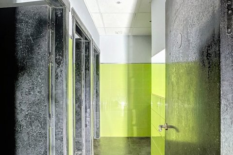 Commercial property for sale in Tarifa, Cadiz, Spain 343 sq.m. No. 153018 - photo 12