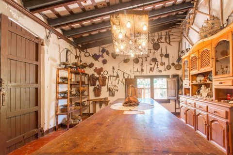 Сasa en venta en Dosrius, Barcelona, España 6 dormitorios, No. 140959 - foto 19