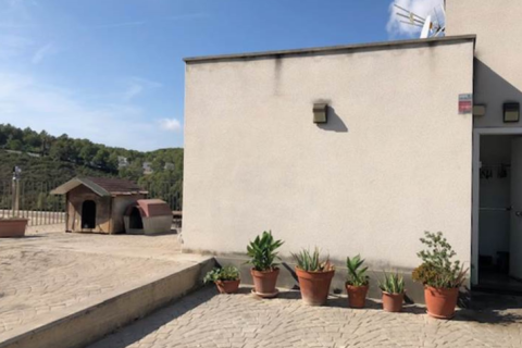 Сasa en venta en Sant Pere de Ribes, Barcelona, España 4 dormitorios, 210 m2 No. 167008 - foto 3