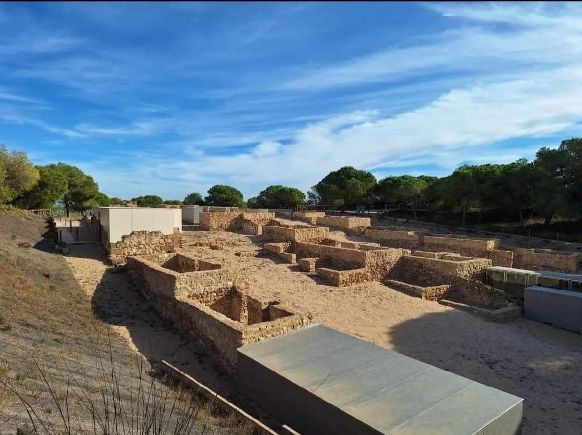 Propiedad comercial en Guardamar del Segura, Alicante, España 179 m2 No. 183880