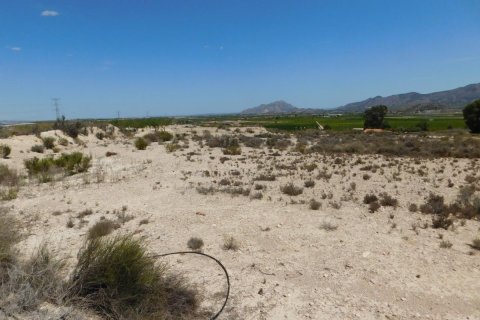 Land zum Verkauf in Fortuna, Murcia, Spanien Nr. 183883 - Foto 2