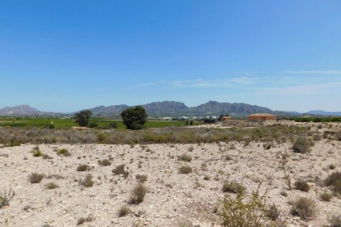 Land zum Verkauf in Fortuna, Murcia, Spanien Nr. 183883 - Foto 11