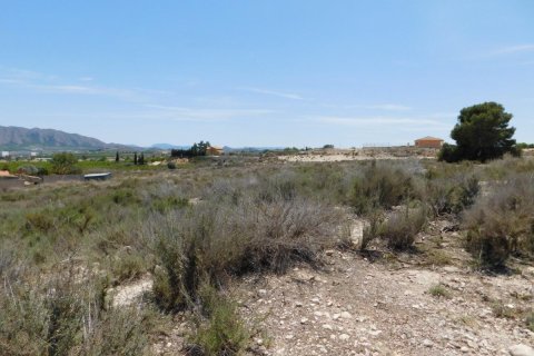 Land zum Verkauf in Fortuna, Murcia, Spanien Nr. 183883 - Foto 9