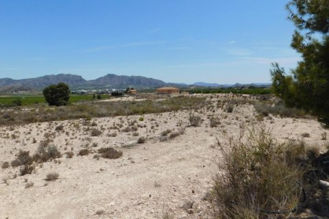 Land zum Verkauf in Fortuna, Murcia, Spanien Nr. 183883 - Foto 3