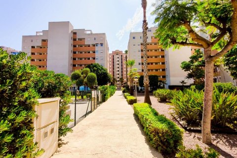 Dzīvoklis pārdošanā Guardamar del Segura, Alicante, Spānijā 2 istabas, 80 m2 Nr. 183881 - attēls 30