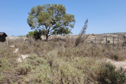 Finca in vendita a Torremendo, Alicante, Spagna 4 camere da letto, 224 mq. N° 183884 - foto 26
