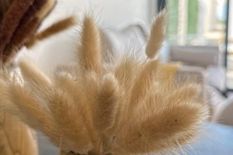 Bungalow for sale in San Fulgencio, Alicante, Spain 3 bedrooms, 92 sq.m. No. 141864 - photo 6