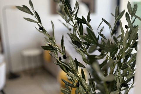 Bungalow in vendita a San Fulgencio, Alicante, Spagna 3 camere da letto, 87 mq. N° 141862 - foto 14