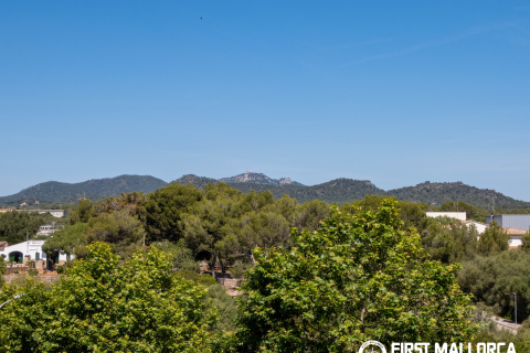 Townhouse for sale in Portocolom, Mallorca, Spain 3 bedrooms, 230 sq.m. No. 168900 - photo 23