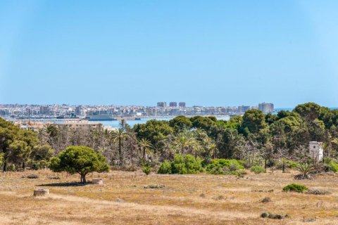 Apartament w Torrevieja, Alicante, Hiszpania 2 sypialnie, 70 mkw. nr 148981 – zdjęcie 19